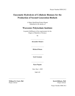 Enzymatic Hydrolysis of Cellulosic Biomass