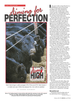 Mark Namminga`s cattle averaged 45% Prime and 97% Yield Grade