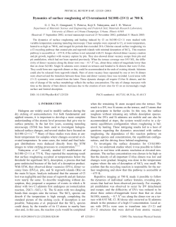 Dynamic roughening of Cl-terminated