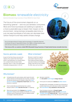 Biomass renewable electricity