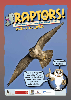 Raptor booklet 1st - 3rd classes PDF