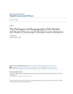 (Dromiciops Gliroides) and its Relatives