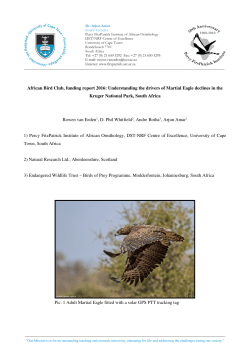 Martial Eagle declines