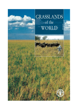 Introduction - Disasters and Conflicts | Disasters and Conflicts