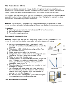 student worksheet