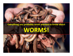Everything You Probably Never Wanted to Know about Worms!