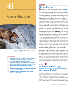 Animal Nutrition