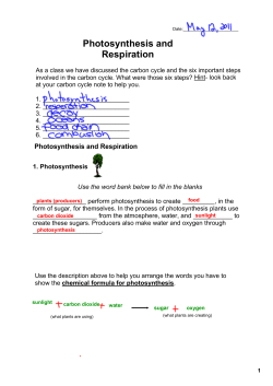 Photosynthesis and Respiration