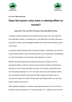 Does the human voice have a calming effect on horses?