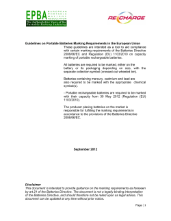 Guidelines on Portable Batteries Marking Requirements in the