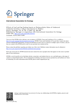 Effects of Leaf and Sap Feeding Insects on Photosynthetic Rates of