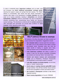 Threats to swamps2 - Blue Mountains City Council