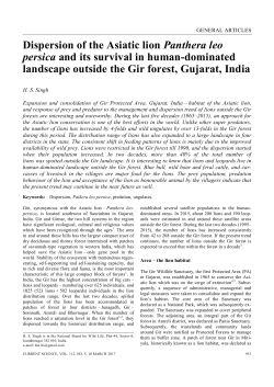 Dispersion of the Asiatic lion Panthera leo persica