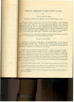 Effect of Adrenaline on Urine output in Rats