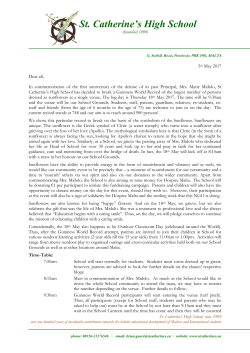 Guinness World Record Breaking#Participation