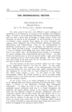 THE ENTOMOLOGICAL SECTION.