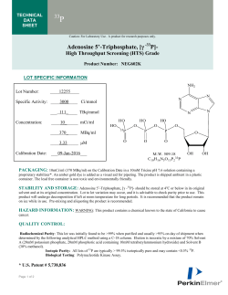 Adenosine 5`-Triphosphate, [&gamma;-33 P]