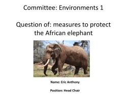 measures to protect the African elephant