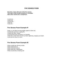 FIVE SENSES POEM