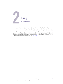 Lung - Springer