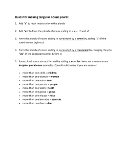 Rules for making singular nouns plural
