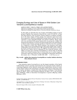 Foraging ecology and use of space in wild golden lion tamarins