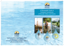 A Photographic Guide to Freshwater Invertebrates of Taranaki`s