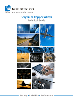 NGK Berylco Catalogue_En_V2014-1
