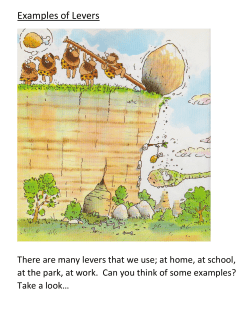 Examples of Levers