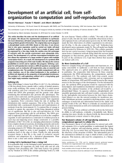 paper - Vincent Noireaux