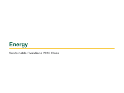 2016 Sustainable Floridians Energy Segment