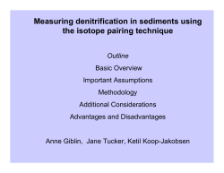 Measuring denitrification in sediments using the isotope pairing