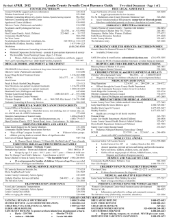 Lorain County Juvenile Court Resource Guide