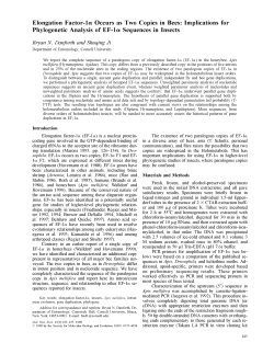 Elongation Factor-la Occurs as Two Copies in Bees: Implications for