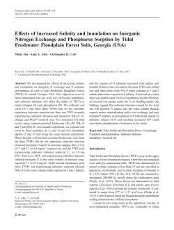 Effects of Increased Salinity and Inundation on Inorganic Nitrogen