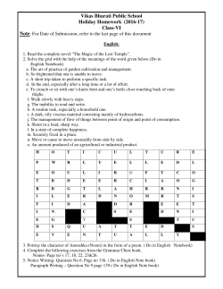 Vikas Bharati Public School Holiday Homework (2016-17) Class-VI
