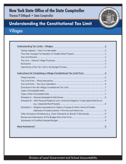 Constitutional Tax Limit Instructions for Villages