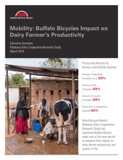 Dairy Farmer Research Study Summary