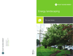 Energy landscaping for your home