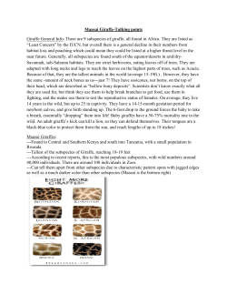 Maasai Giraffe-Talking points Giraffe General Info