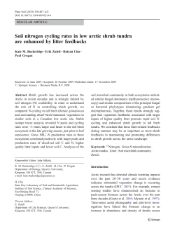Soil nitrogen cycling rates in low arctic shrub tundra are