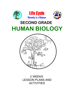 SECOND GRADE HUMAN BIOLOGY