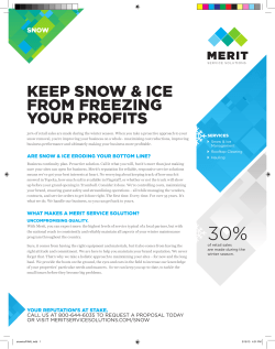 the Merit Snow Overview PDF