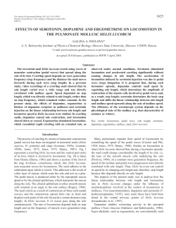 Control of locomotion in a land snail