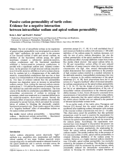Evidence for a negative interaction between intracellular sodium