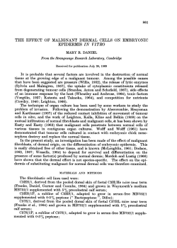 the effect of malignant dermal cells on embryonic epidermis