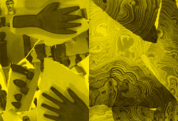 Cleopatra`s Nose&mdash;and the Development of World