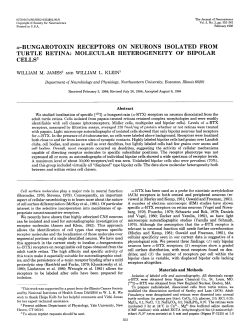 MOLECULAR HETEROGENEITY OF BIPOLAR CELLS