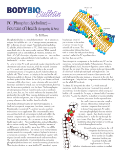 Phosphatidylcholine PC &ndash; Fountain of Health