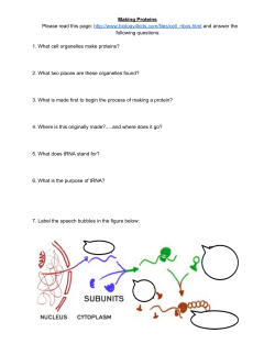 Making Proteins Please read this page: http://www.biology4kids.com